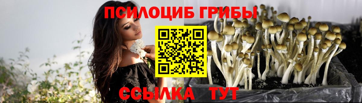 Псилоцибиновые грибы ЛСД Сокол